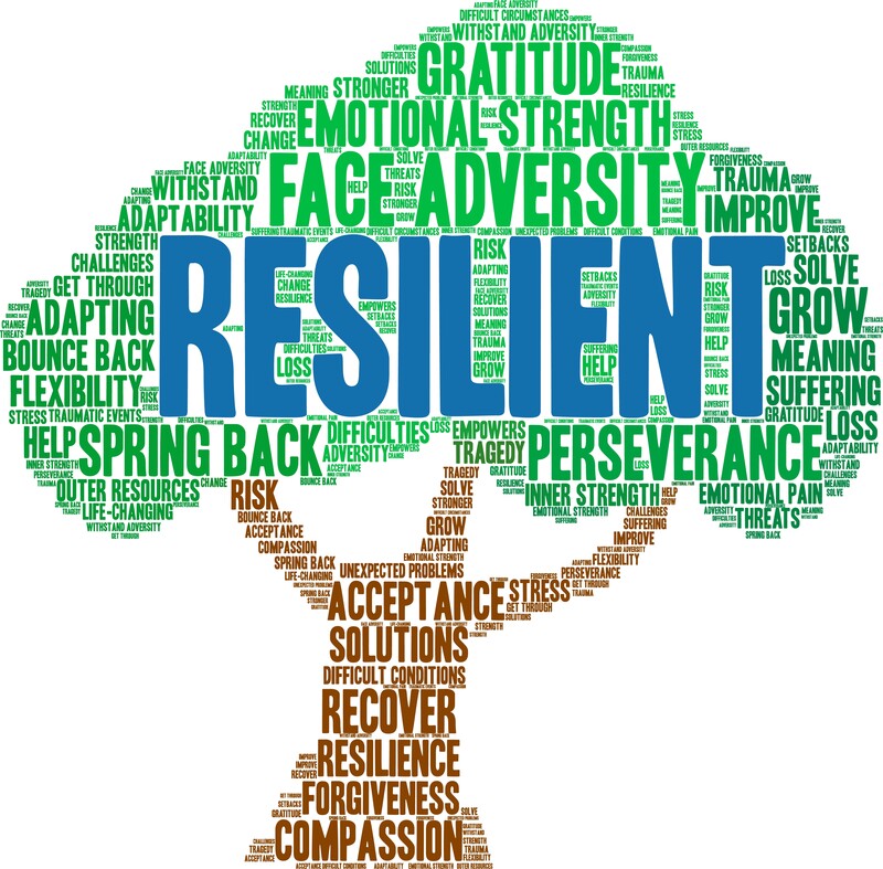 Developing Resilience: A Path To Better Mental Health Developing Resilience: A Path To Better Mental Health