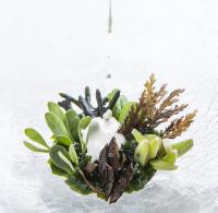 Die Beliebteste Eissorte In Essen Und NRW: Ein Unerwarteter Gewinner Die Beliebteste Eissorte In Essen Und NRW: Ein Unerwarteter Gewinner