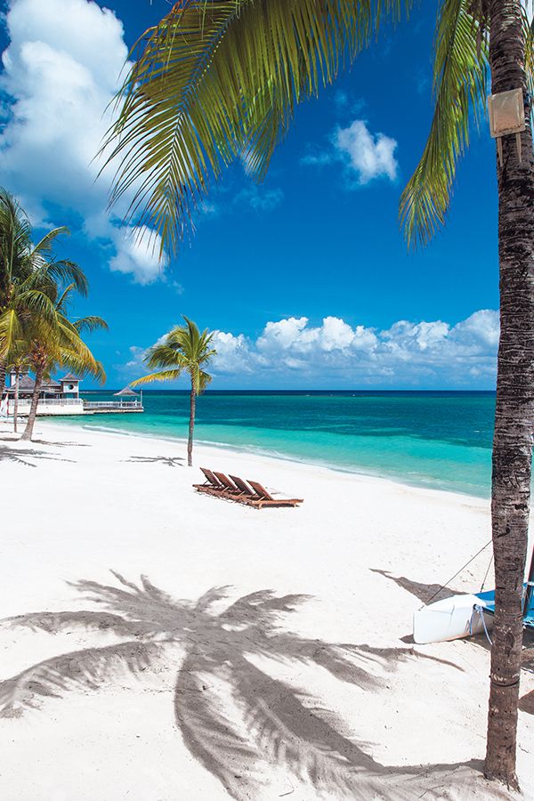 Discover Montego Bay: Beaches, Culture & More Discover Montego Bay: Beaches, Culture & More
