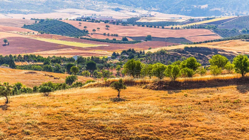 Discover Rural Andalusia: A Farmstay Getaway Discover Rural Andalusia: A Farmstay Getaway