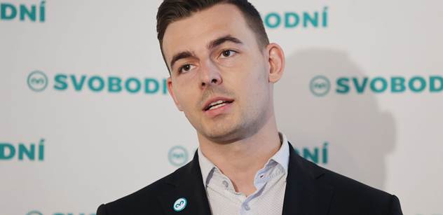 Domácí Politika: Piráti A Zelení Plánují Společný Postup