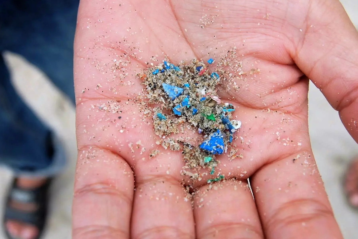 Dove Si Trovano Più Microplastiche? Un'analisi Dell'acqua. Dove Si Trovano Più Microplastiche? Un'analisi Dell'acqua.