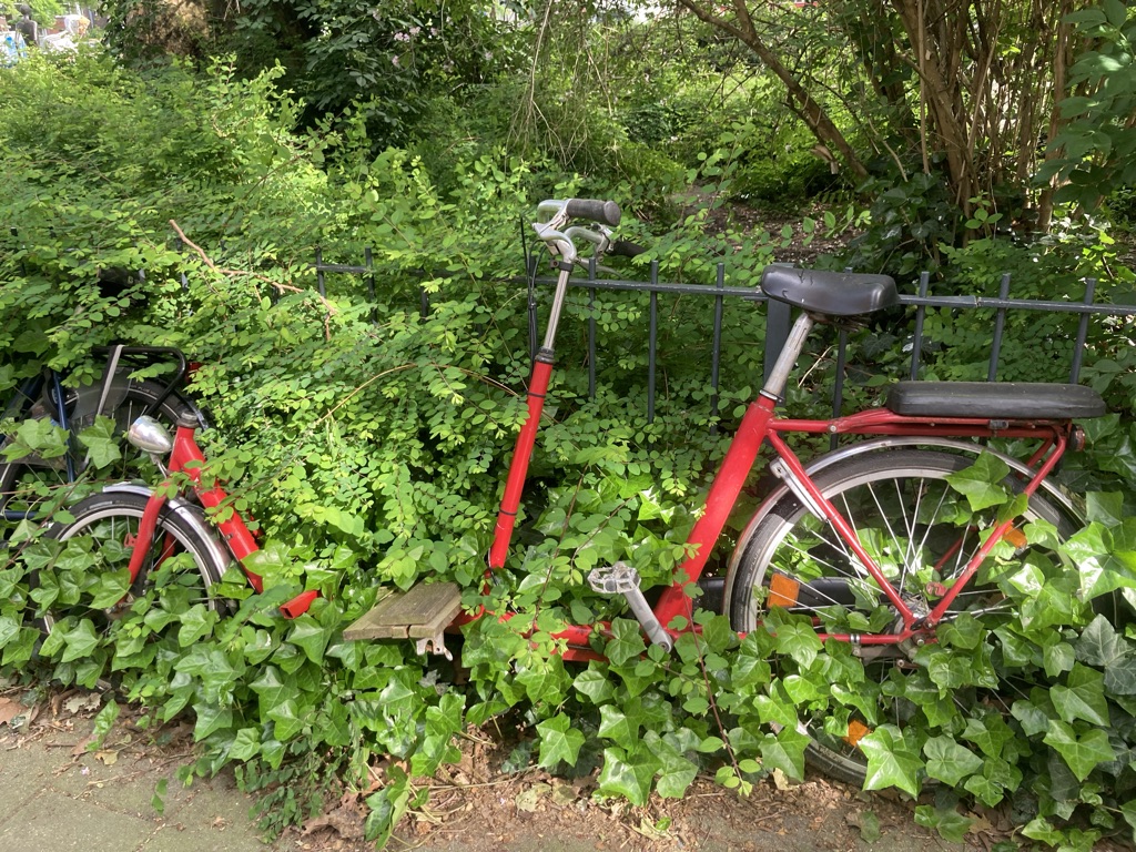 Dutch Bike Thefts Surge To Unprecedented Levels In Amsterdam