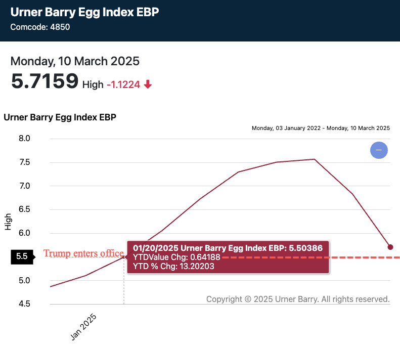 Egg Prices Plummet: Dozen Now $5 After Record Highs Egg Prices Plummet: Dozen Now $5 After Record Highs
