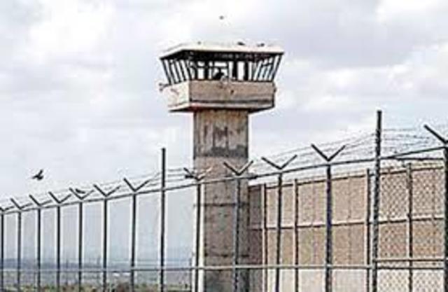El Sistema Penitenciario Se Moderniza Con La Entrega De 7 Vehículos Nuevos El Sistema Penitenciario Se Moderniza Con La Entrega De 7 Vehículos Nuevos