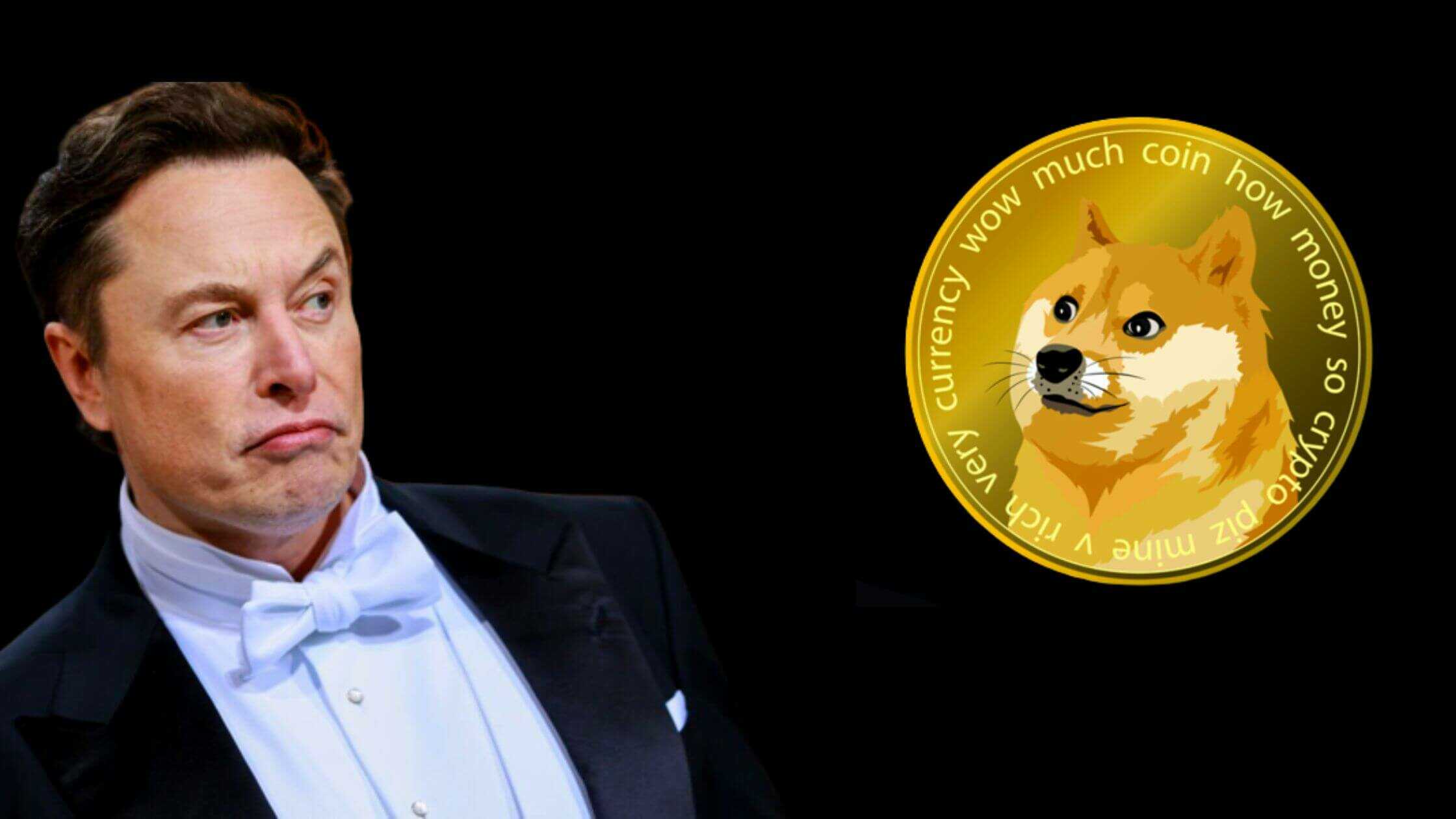 Elon Musk And Dogecoin: Is He Really Leaving? Elon Musk And Dogecoin: Is He Really Leaving?