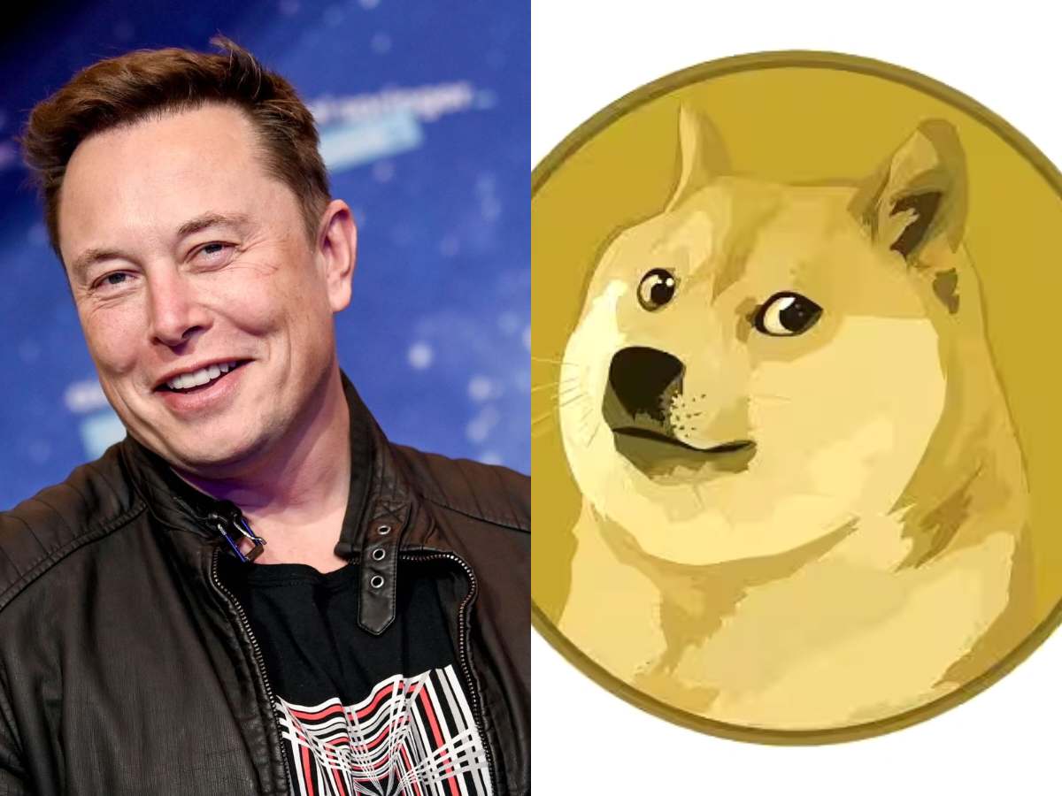 Elon Musk Changes X To Gorklon Rust: What's The Story? Elon Musk Changes X To Gorklon Rust: What's The Story?