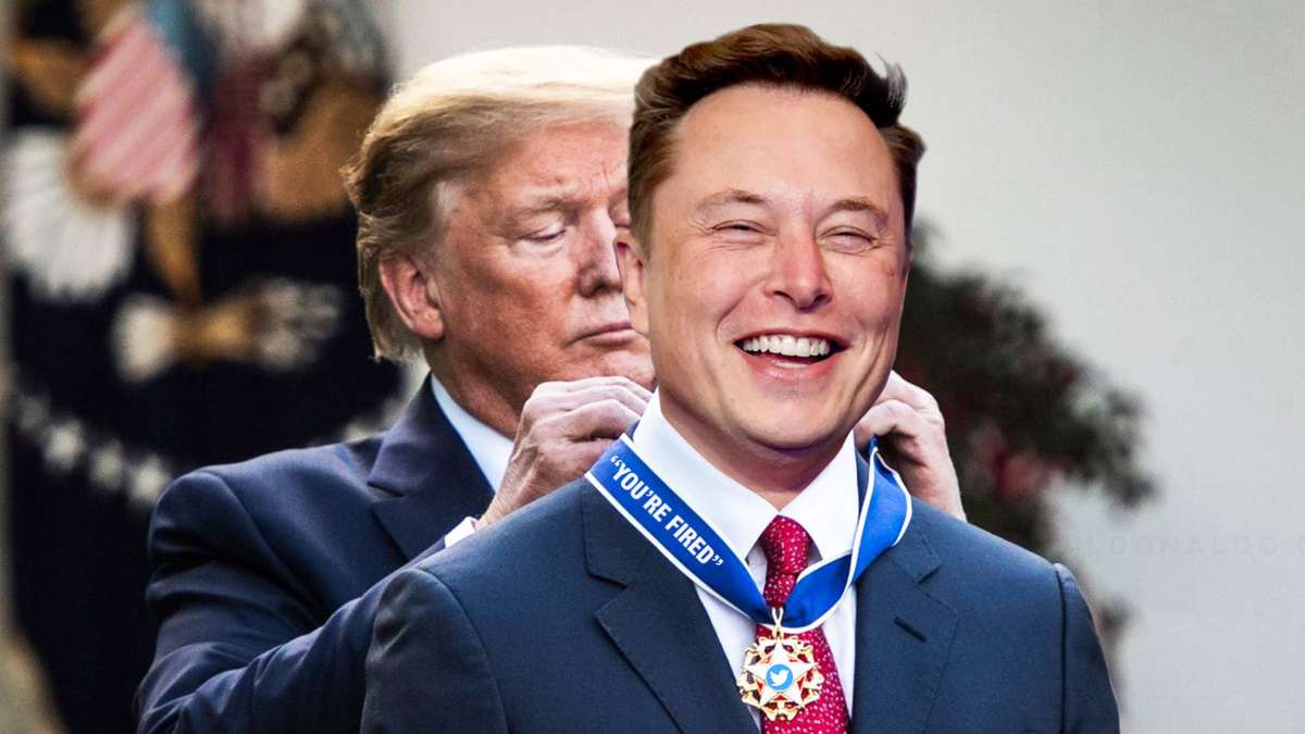 Elon Musk Et X : Un Outil Pour L'extrême Droite Européenne ?