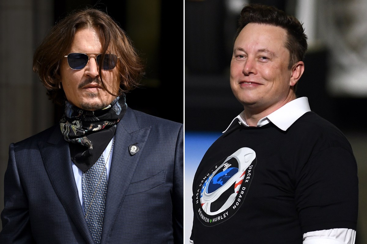 Elon Musk's Alleged Paternity: The Amber Heard Twins Controversy Elon Musk's Alleged Paternity: The Amber Heard Twins Controversy