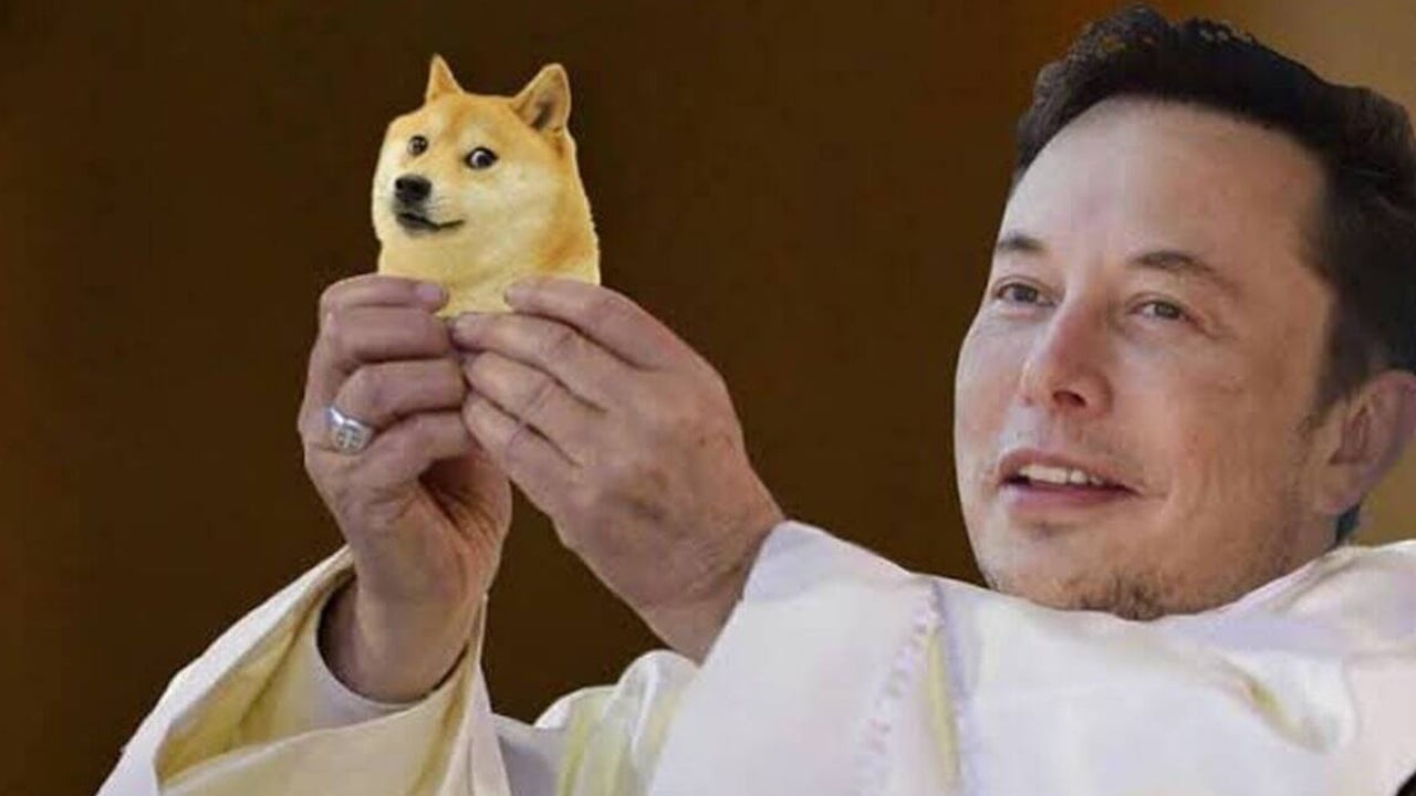 Elon Musk's Concerns: Trump's Plan And The Future Of Dogecoin Elon Musk's Concerns: Trump's Plan And The Future Of Dogecoin