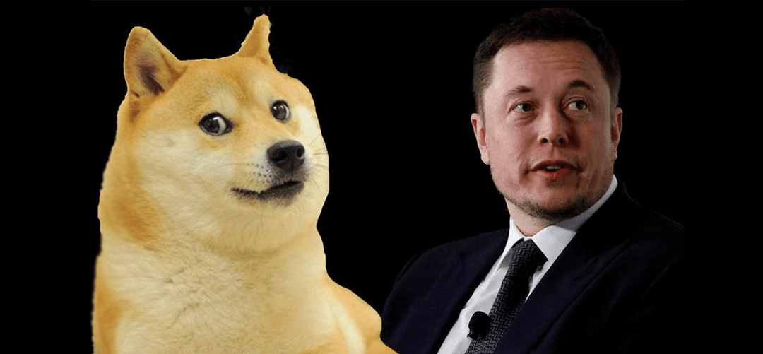 Elon Musk's Dogecoin Holdings: A Detailed Analysis Elon Musk's Dogecoin Holdings: A Detailed Analysis