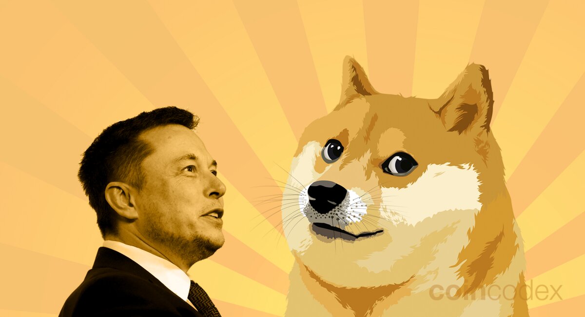 Elon Musk's Dogecoin Plans: What's Next? Elon Musk's Dogecoin Plans: What's Next?