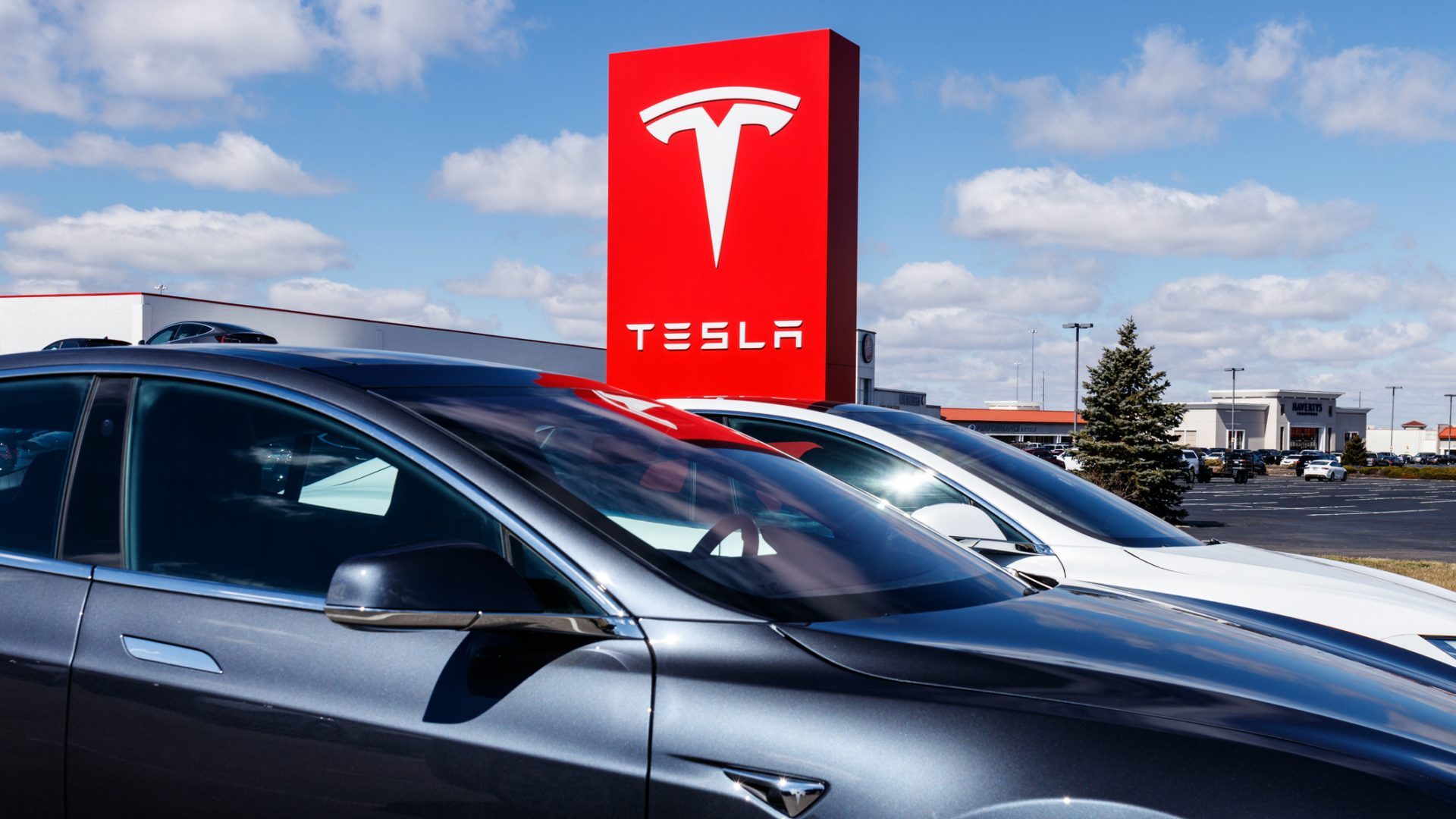 Elon Musk's SpaceX: $43 Billion Ahead Of Tesla In Net Worth Elon Musk's SpaceX: $43 Billion Ahead Of Tesla In Net Worth
