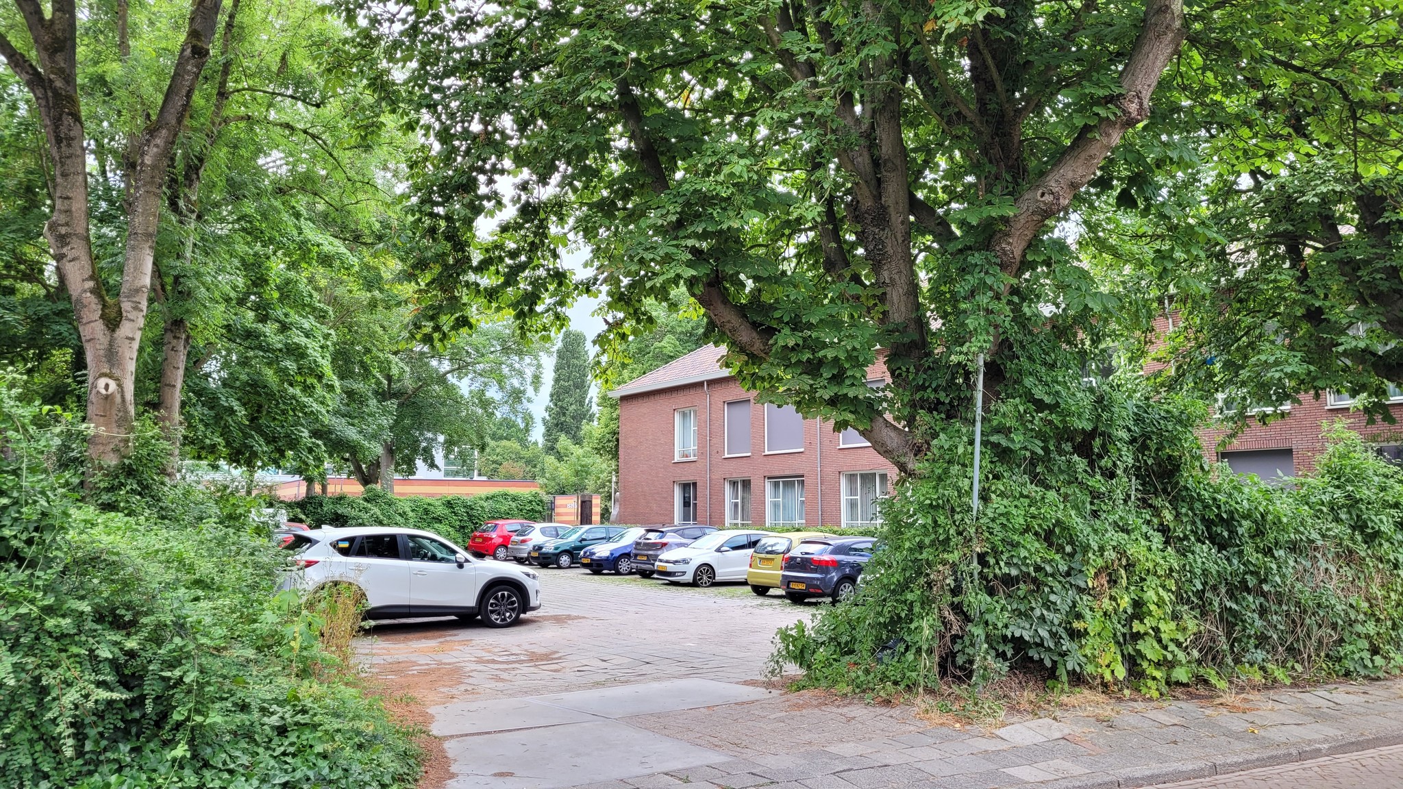 Enexis En Kampen In Juridisch Gevecht: Probleem Stroomnetaansluiting Enexis En Kampen In Juridisch Gevecht: Probleem Stroomnetaansluiting