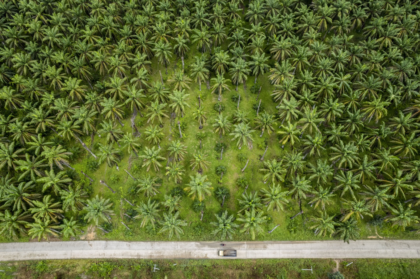 Eramet And Danantara: A New Partnership For Downstream Investment In Indonesia Eramet And Danantara: A New Partnership For Downstream Investment In Indonesia