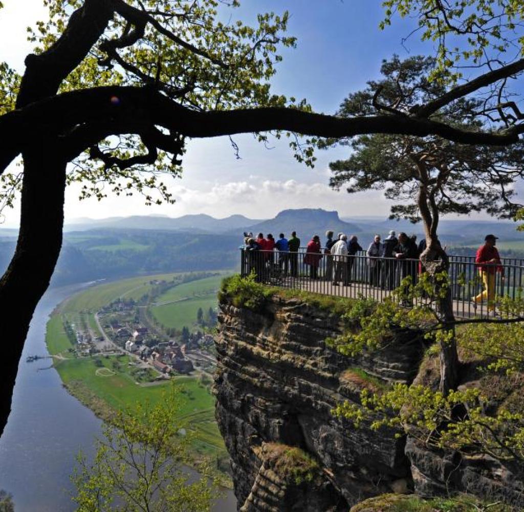 Erfolgreiche Wiederaufforstung: 190.000 Bäume Im Nationalpark Sächsische Schweiz Erfolgreiche Wiederaufforstung: 190.000 Bäume Im Nationalpark Sächsische Schweiz