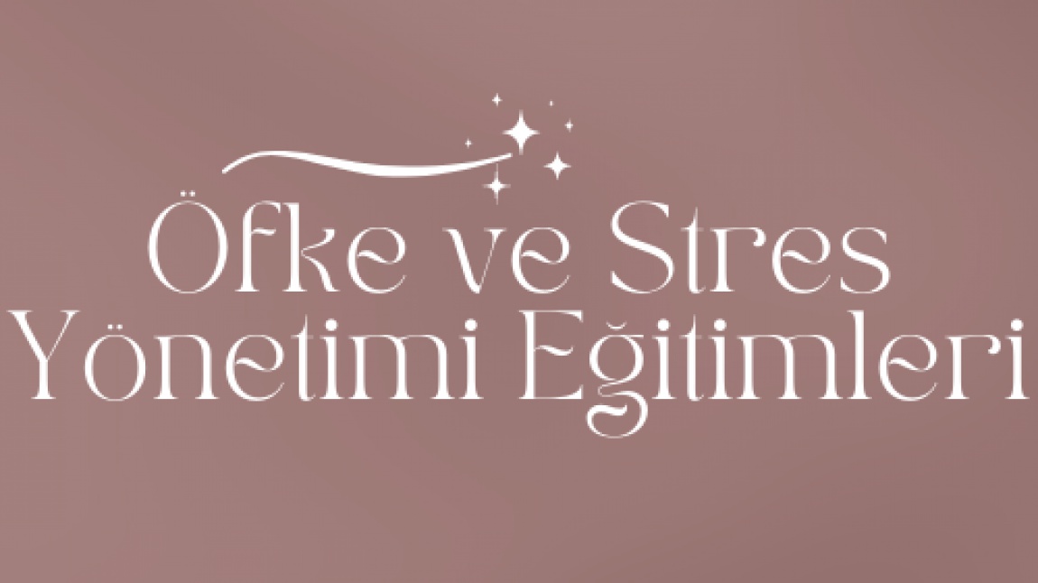 Eskişehir'de Tıp Eğitimi Ve Stres Yönetimi: Boksun Rolü
