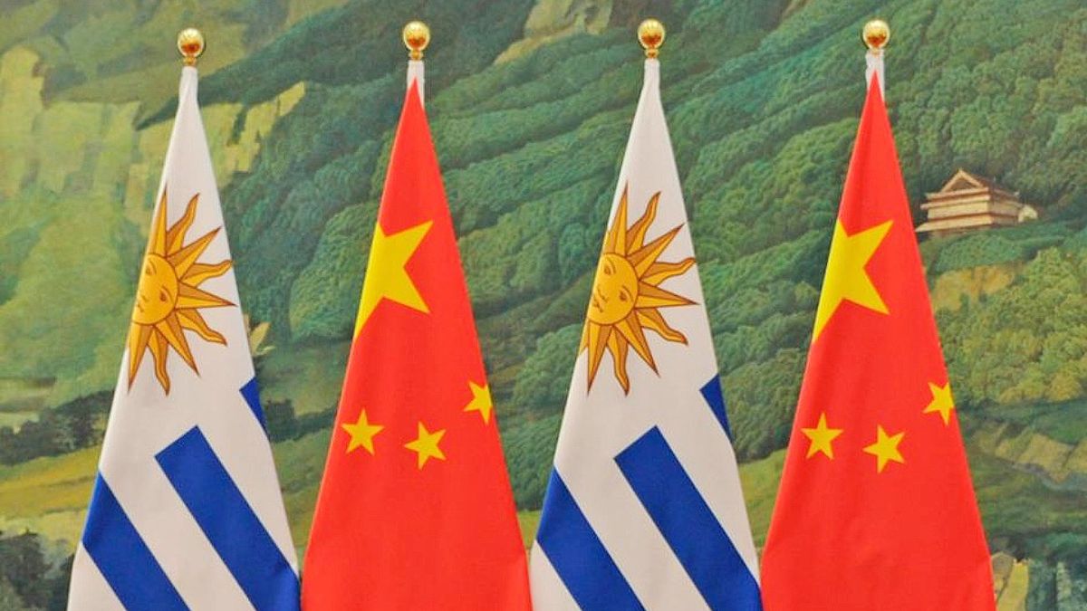 Estrategia Ganadera: El Regalo De Uruguay A China Para Impulsar Las Exportaciones Estrategia Ganadera: El Regalo De Uruguay A China Para Impulsar Las Exportaciones