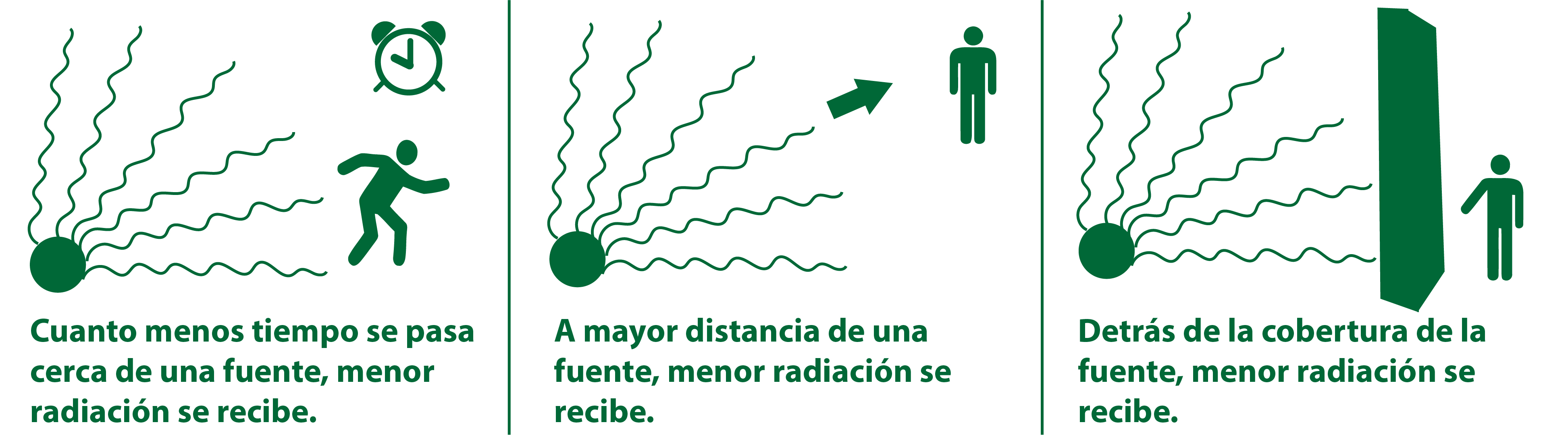 Evitar La Estupidez: Medidas Para Protegerse De Las Acciones Tontas Evitar La Estupidez: Medidas Para Protegerse De Las Acciones Tontas