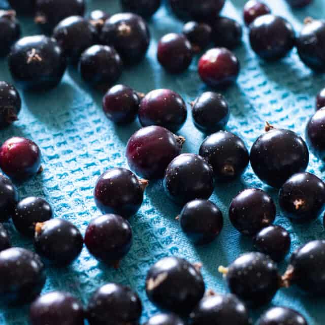 Exploring The Rich History And Culinary Applications Of Cassis Blackcurrant Exploring The Rich History And Culinary Applications Of Cassis Blackcurrant