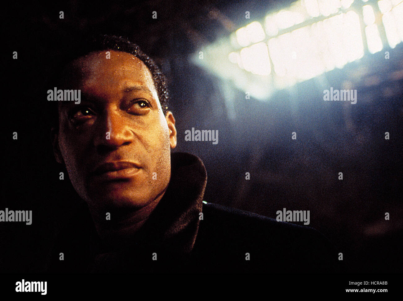 Final Destination: Bloodline Trailer: A Bittersweet Farewell To Tony Todd Final Destination: Bloodline Trailer: A Bittersweet Farewell To Tony Todd