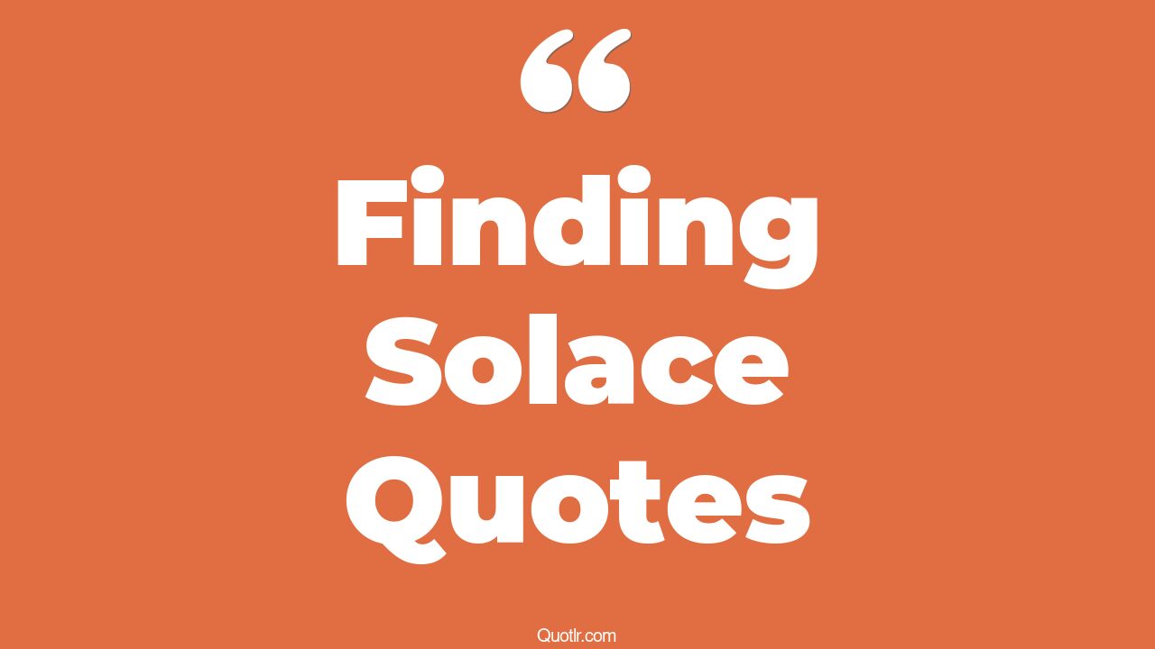 Finding Solace: A Seattle Park During The Early Pandemic Finding Solace: A Seattle Park During The Early Pandemic