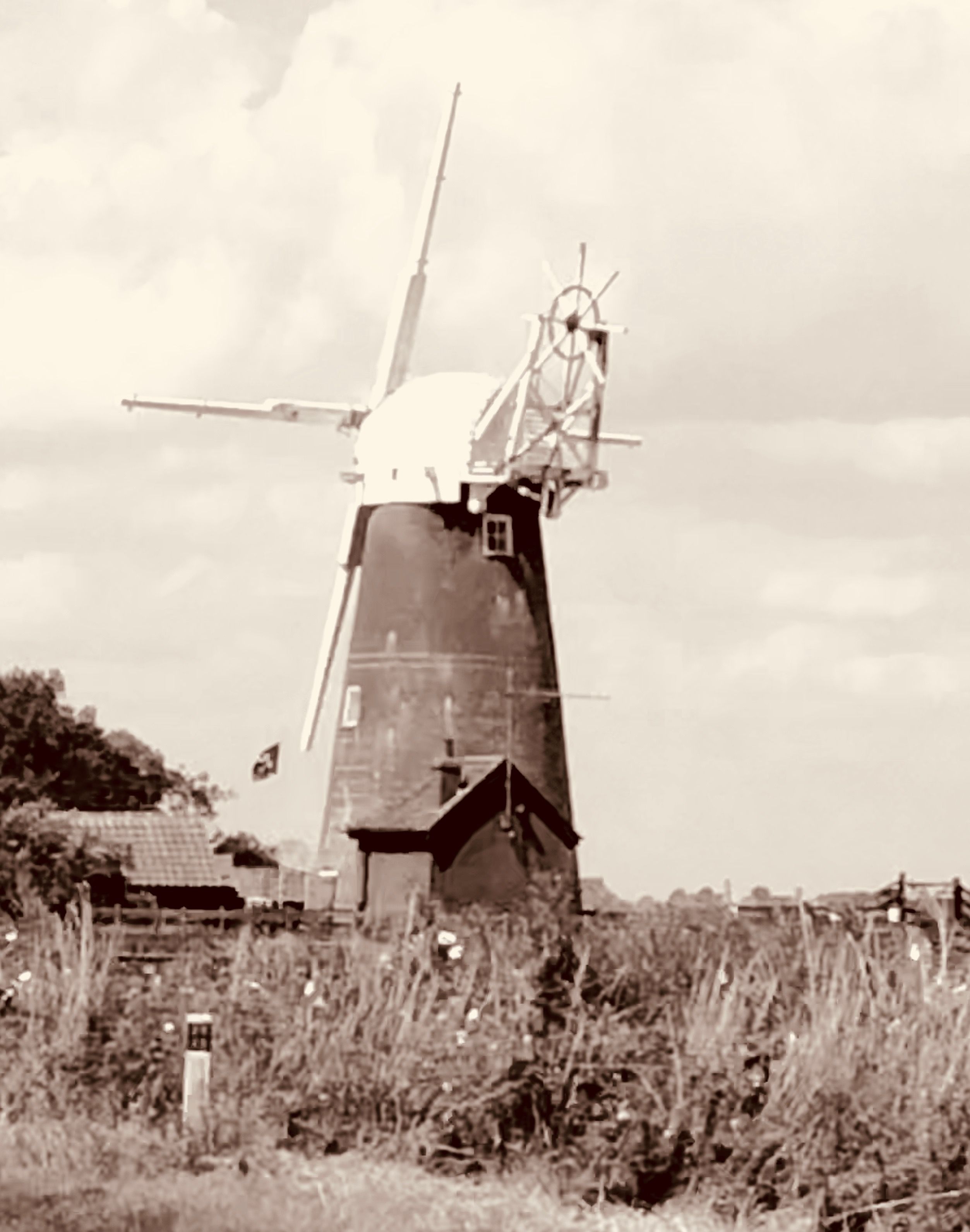Following Reform Clashes, Rupert Lowe Highlights Great Yarmouth Following Reform Clashes, Rupert Lowe Highlights Great Yarmouth