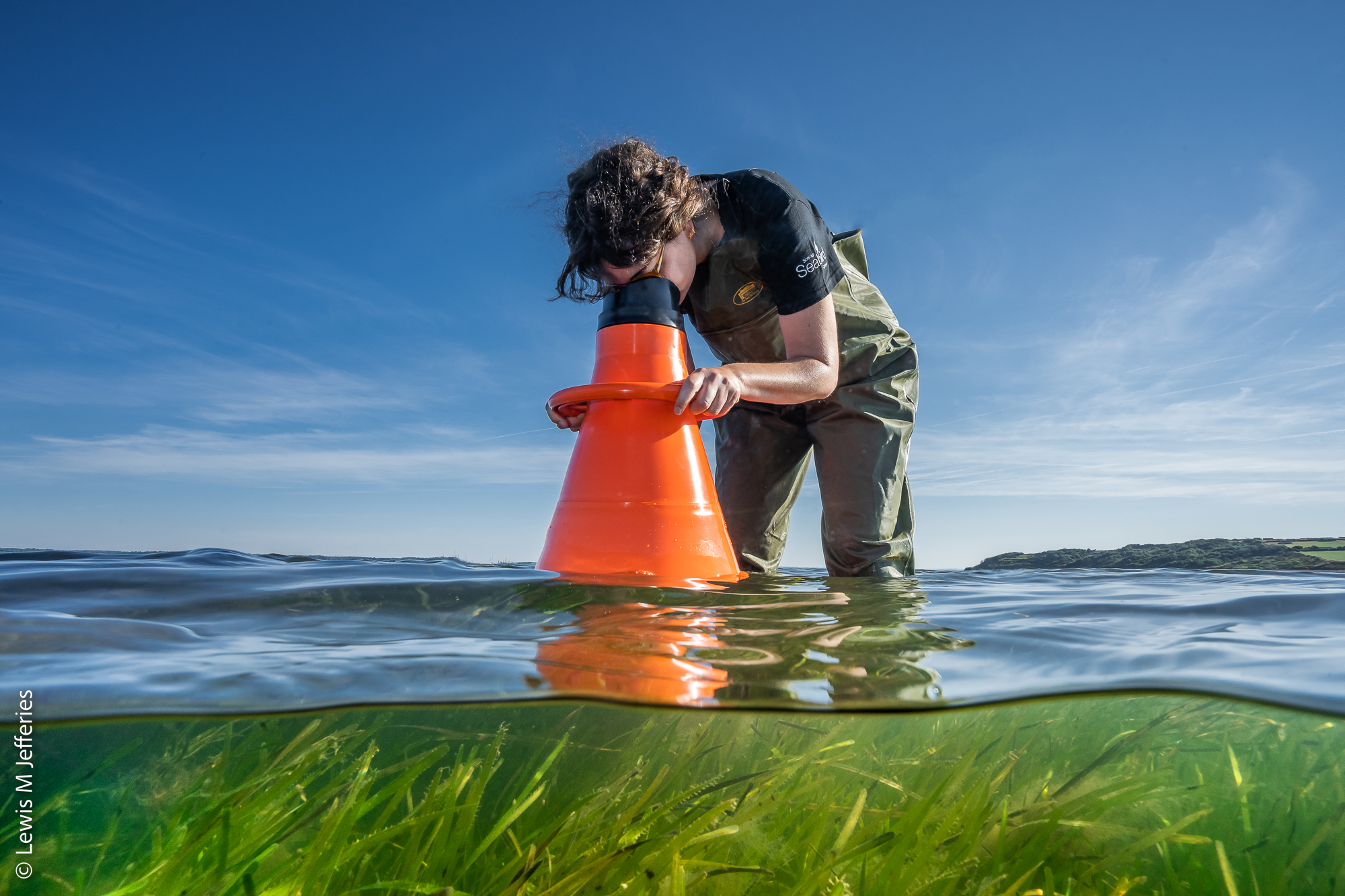 Funding Seagrass Restoration: A Key To Scotland's Coastal Ecosystem Funding Seagrass Restoration: A Key To Scotland's Coastal Ecosystem