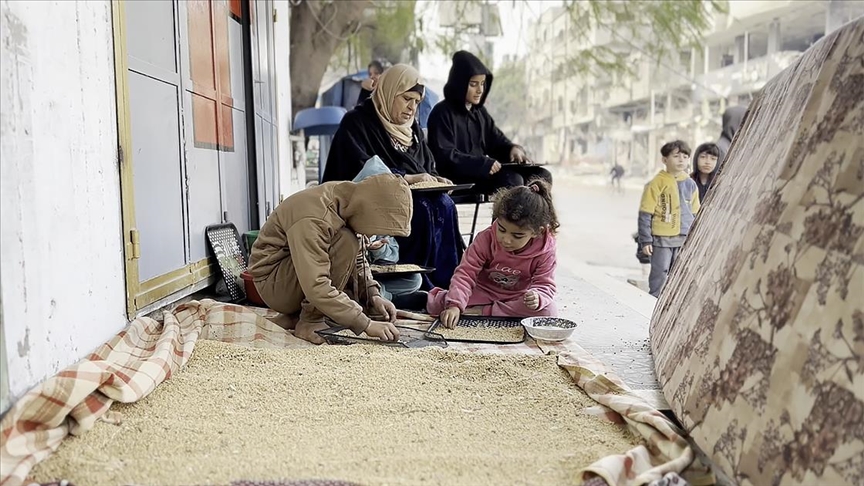 Gazze'den Yerinden Edilen Filistinlilerin Hayatta Kalma Mücadelesi Gazze'den Yerinden Edilen Filistinlilerin Hayatta Kalma Mücadelesi