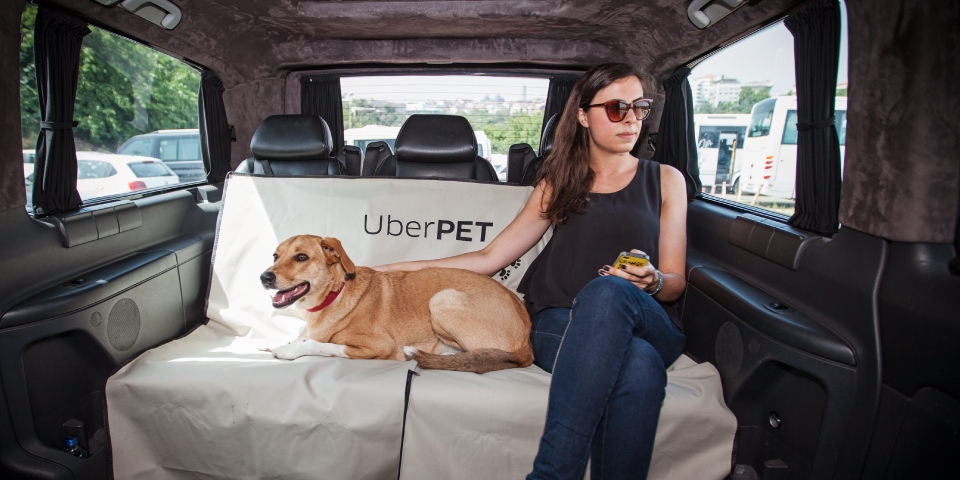 Get Your Pet To The Vet Or Groomer With Uber's Expanded Service (Delhi & Mumbai) Get Your Pet To The Vet Or Groomer With Uber's Expanded Service (Delhi & Mumbai)