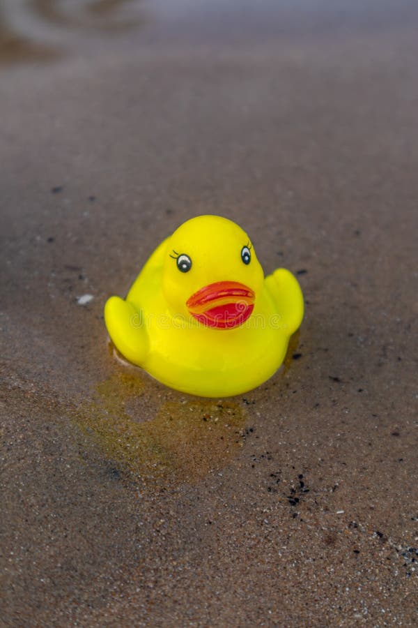 Giant Rubber Duck Arrives In Myrtle Beach With A Message Giant Rubber Duck Arrives In Myrtle Beach With A Message