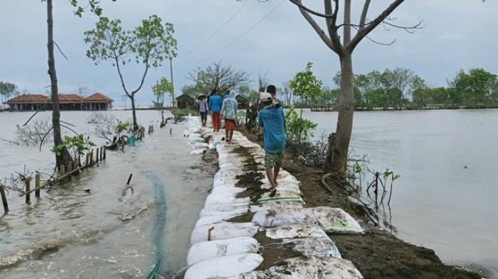 Giant Sea Wall: Upaya DPR Lindungi Warga Pesisir Dari Ancaman Abrasi Dan Banjir Giant Sea Wall: Upaya DPR Lindungi Warga Pesisir Dari Ancaman Abrasi Dan Banjir