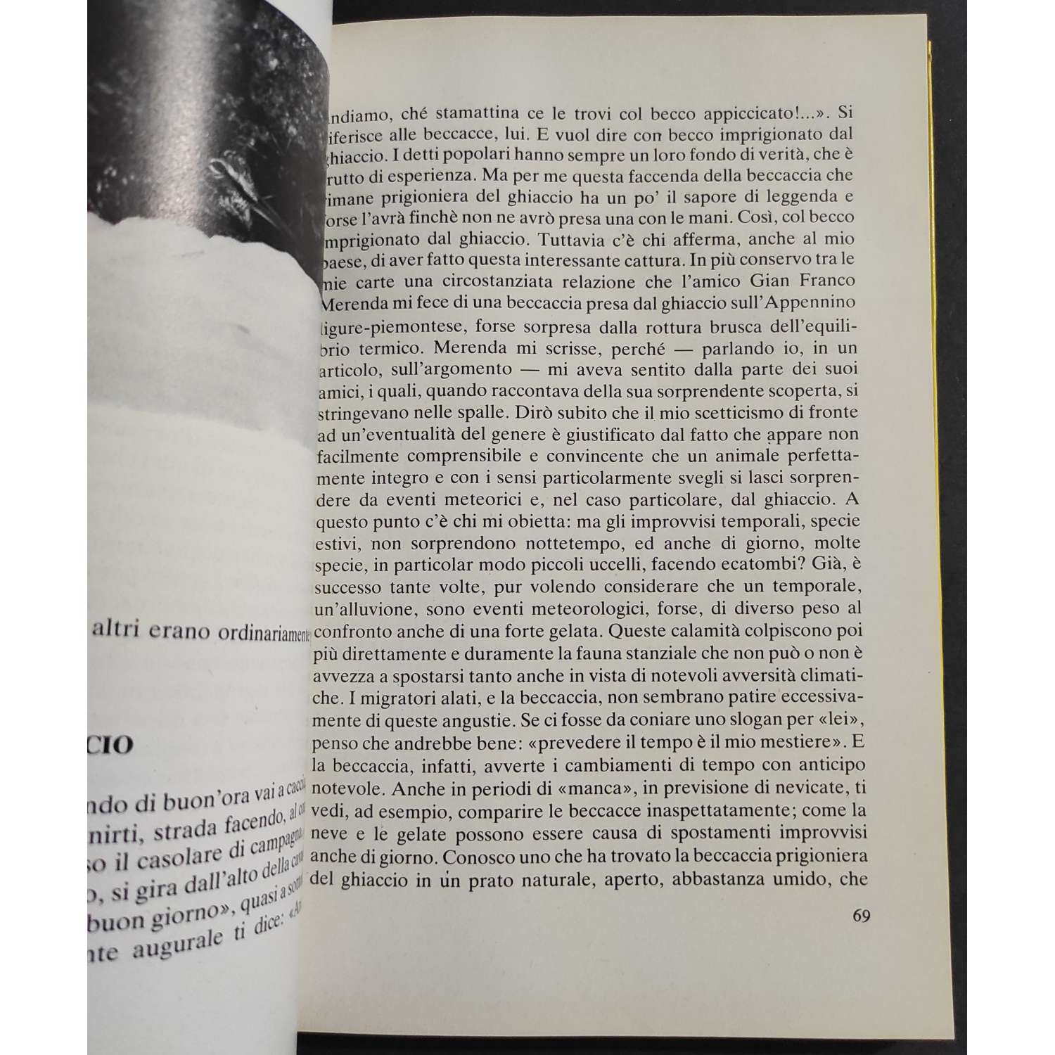 Gibonni: Il Nuovo Libro Gibonni: Il Nuovo Libro