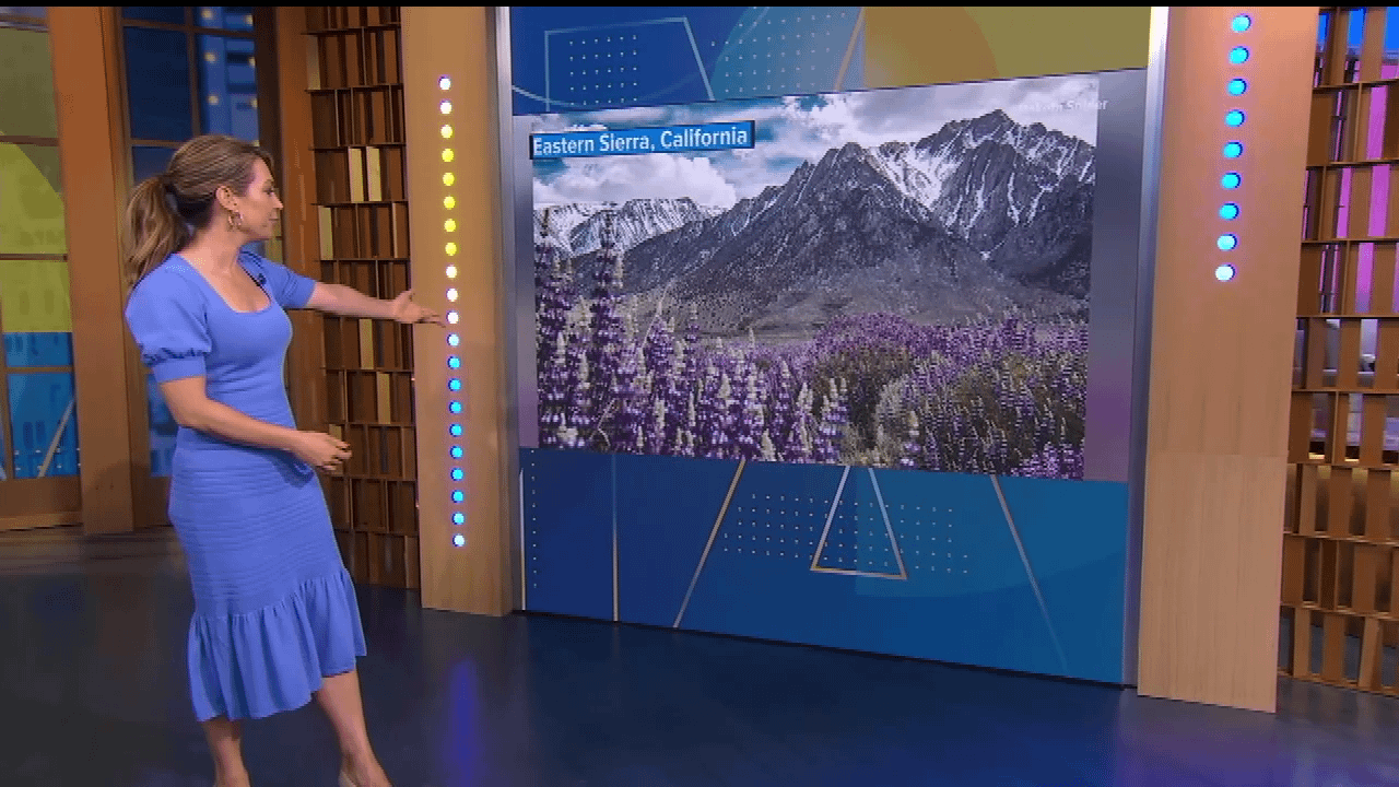 GMA's Ginger Zee Previews Asheville Rising Helene Special At WLOS GMA's Ginger Zee Previews Asheville Rising Helene Special At WLOS