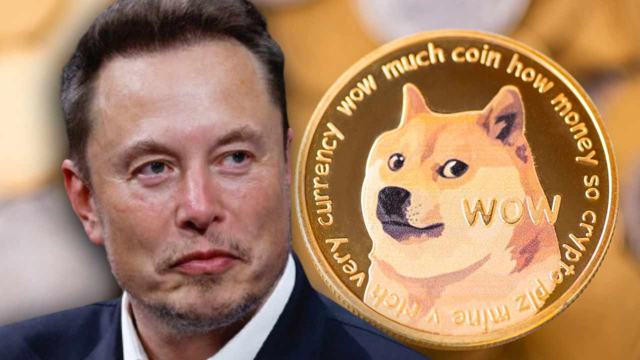 Gork Meme Coin: Price Surge Follows Elon Musk's Twitter Name Change Gork Meme Coin: Price Surge Follows Elon Musk's Twitter Name Change