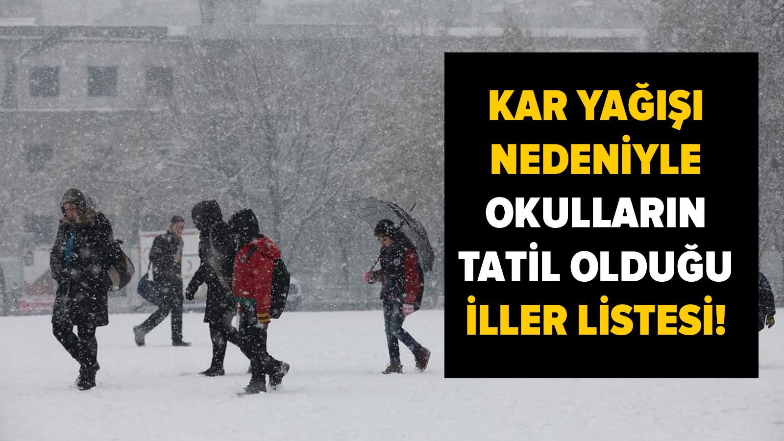 Hakkari Okul Tatil Haberleri: 24 Şubat Pazartesi Güncel Durum Hakkari Okul Tatil Haberleri: 24 Şubat Pazartesi Güncel Durum