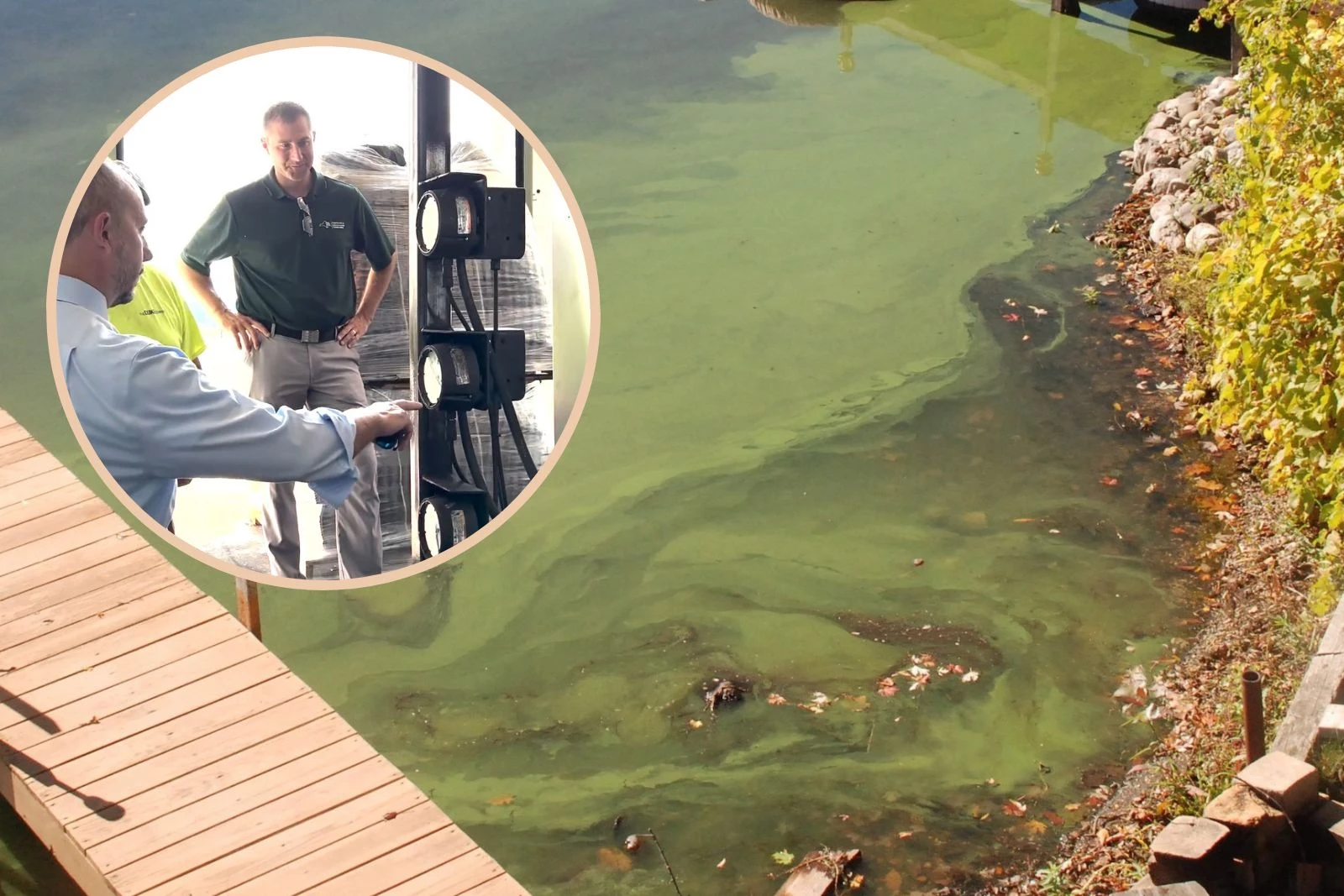 Harmful Algal Blooms: Kodiak Faces Two Years Of Impacts Harmful Algal Blooms: Kodiak Faces Two Years Of Impacts