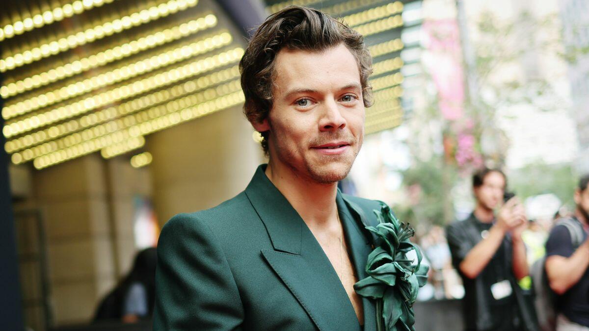 Harry Styles Reacts To SNL Impression: Disappointment And More Harry Styles Reacts To SNL Impression: Disappointment And More