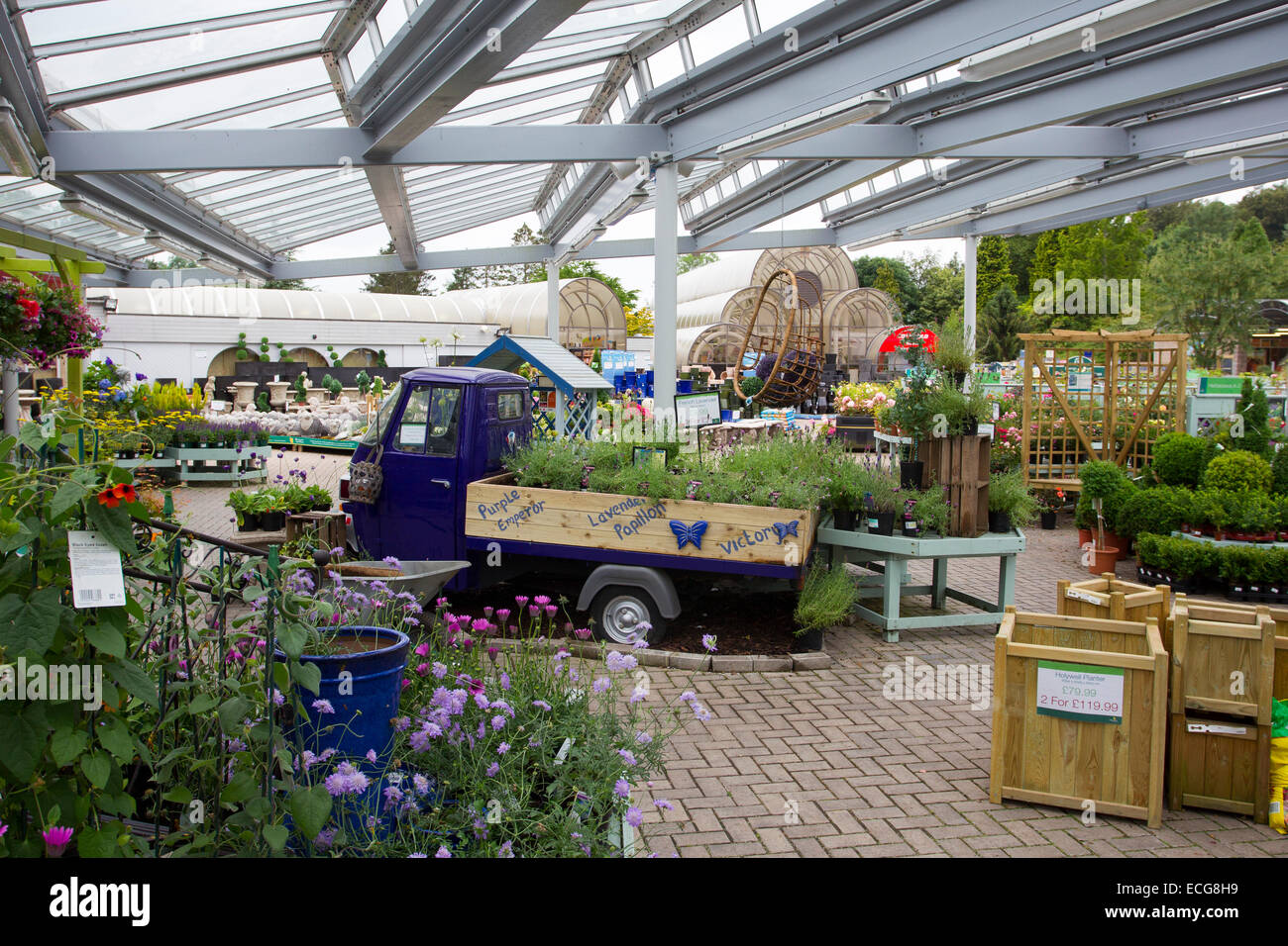 Hayes Garden World: Ambleside Couple Accused Of £300 Theft Hayes Garden World: Ambleside Couple Accused Of £300 Theft