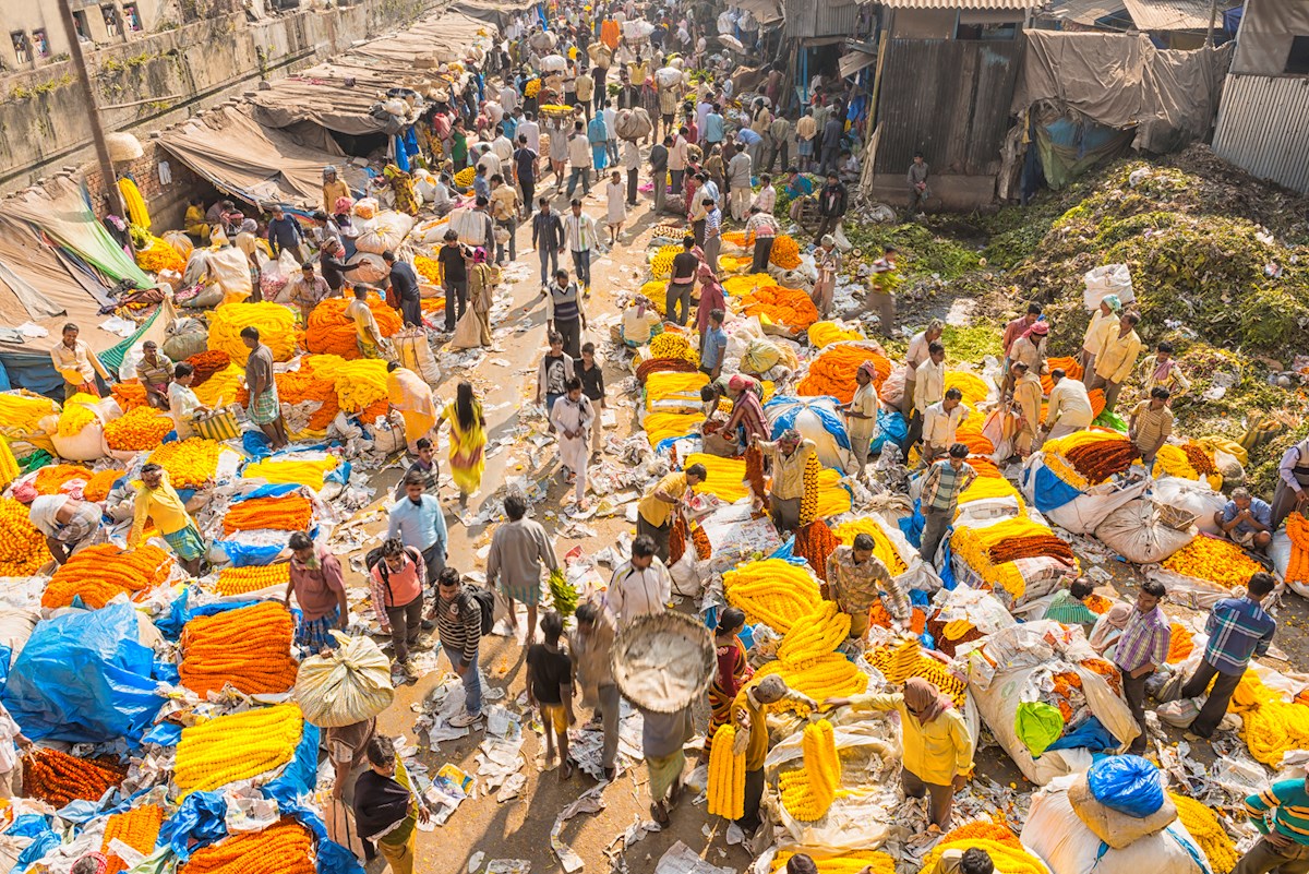 Hoe Brekelmans India Zo Veel Mogelijk Aan Zijn Zijde Wil Houden Hoe Brekelmans India Zo Veel Mogelijk Aan Zijn Zijde Wil Houden