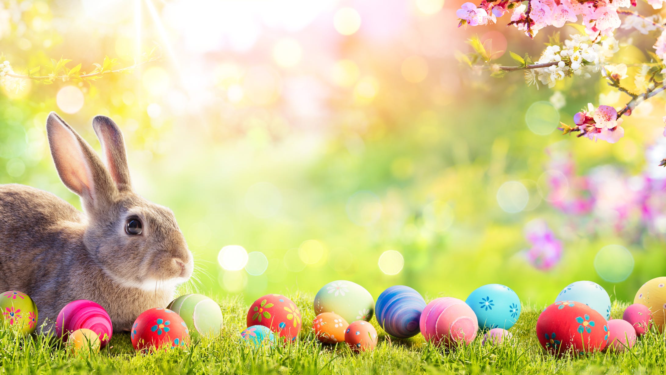 Holiday Hours P.E.I. Easter Weekend: Planning Your Trip Holiday Hours P.E.I. Easter Weekend: Planning Your Trip