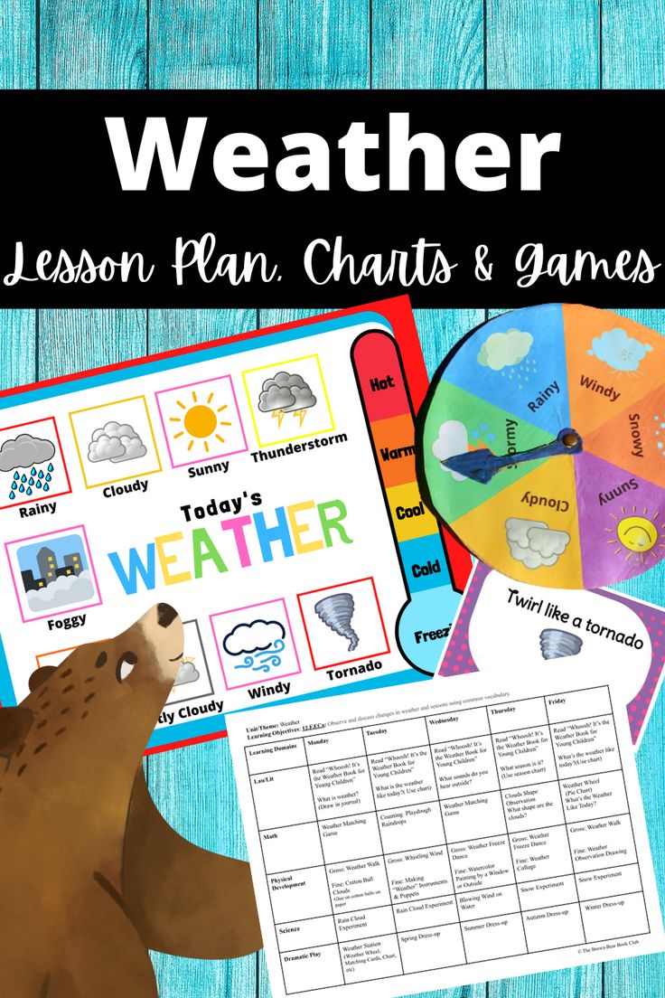 How To Plan Activities For Breezy And Mild Weather How To Plan Activities For Breezy And Mild Weather