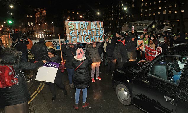 ICE Evasion: Migrant Remains In Tree For Eight Hours To Avoid Deportation ICE Evasion: Migrant Remains In Tree For Eight Hours To Avoid Deportation