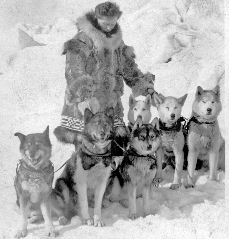 Iditarod Rookies: 7 Sled Dog Teams Aiming For Nome Iditarod Rookies: 7 Sled Dog Teams Aiming For Nome