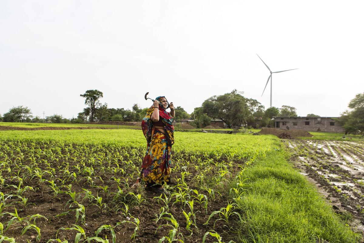 Impact Of Positive Monsoon Predictions On India's Agricultural Sector And Consumer Spending Impact Of Positive Monsoon Predictions On India's Agricultural Sector And Consumer Spending
