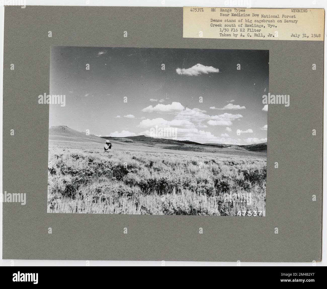 Improving Otter Management Practices In Wyoming: Challenges And Solutions Improving Otter Management Practices In Wyoming: Challenges And Solutions