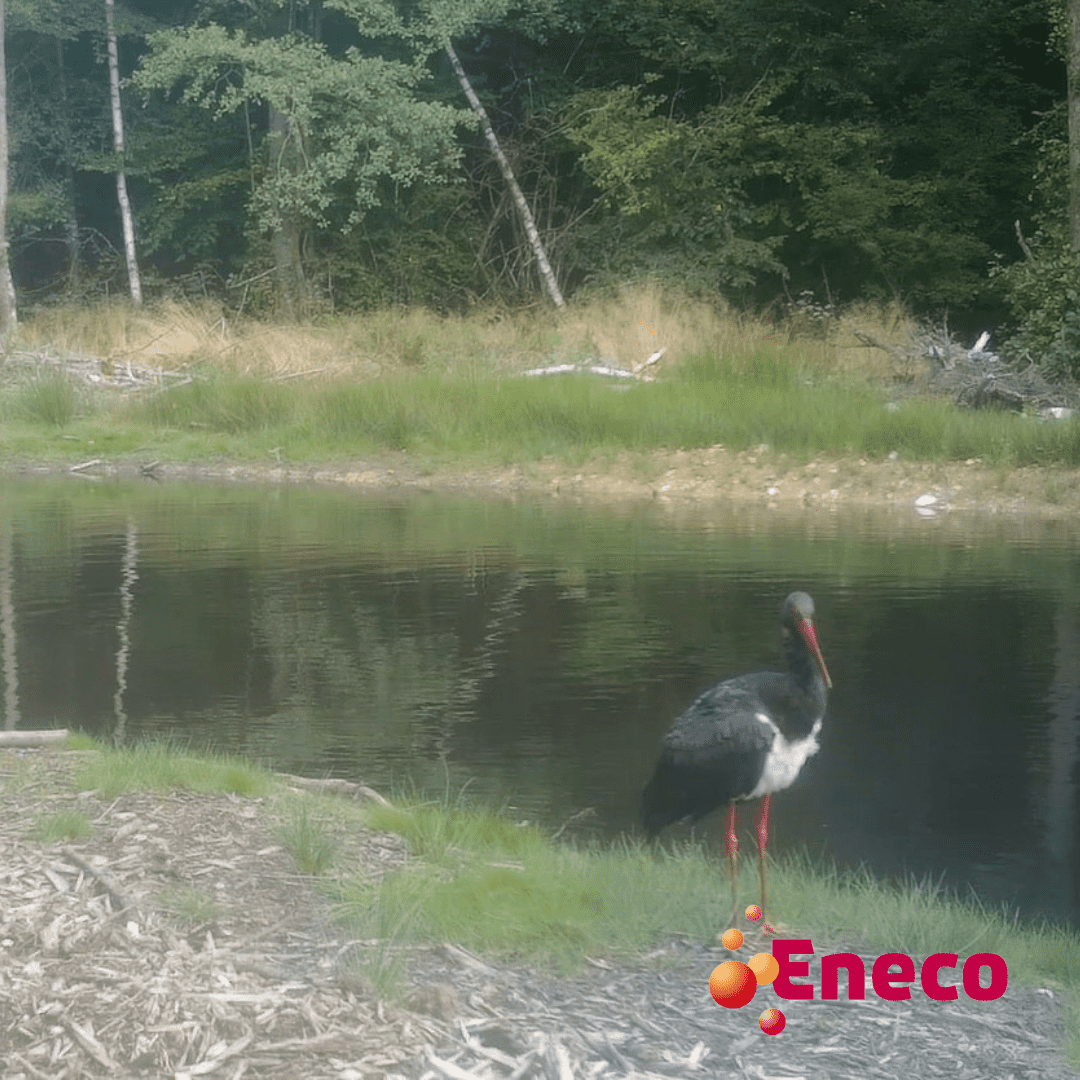 Inauguration Du Parc De Batteries D'Eneco À Au Roeulx: Une Nouvelle Étape Pour L'Énergie En Belgique Inauguration Du Parc De Batteries D'Eneco À Au Roeulx: Une Nouvelle Étape Pour L'Énergie En Belgique