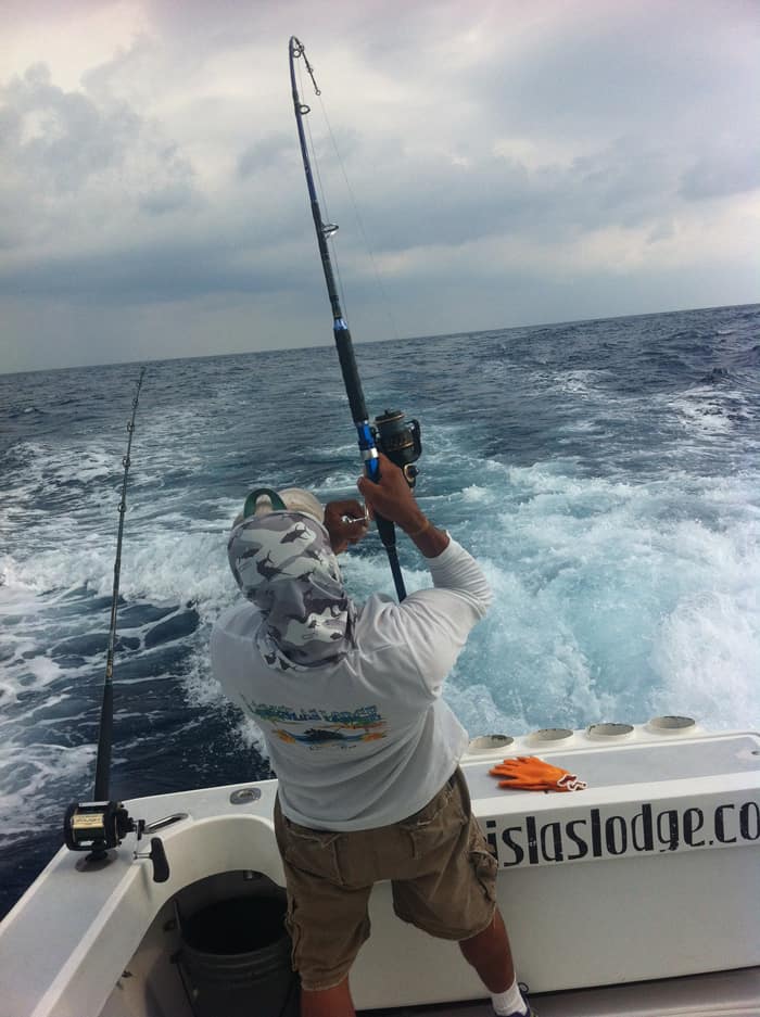 Increased Torpedo Bat Usage Among Marlin Fishermen Increased Torpedo Bat Usage Among Marlin Fishermen