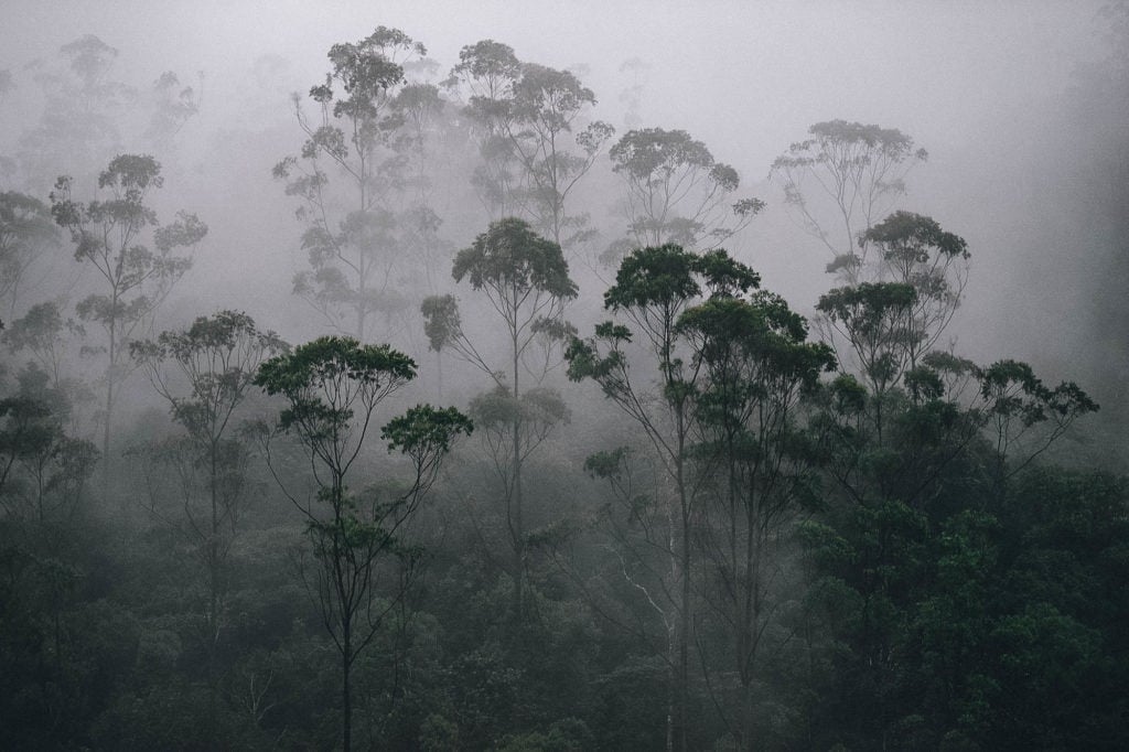 India's Monsoon Season: Positive Predictions Boosting Agricultural Growth And Consumption