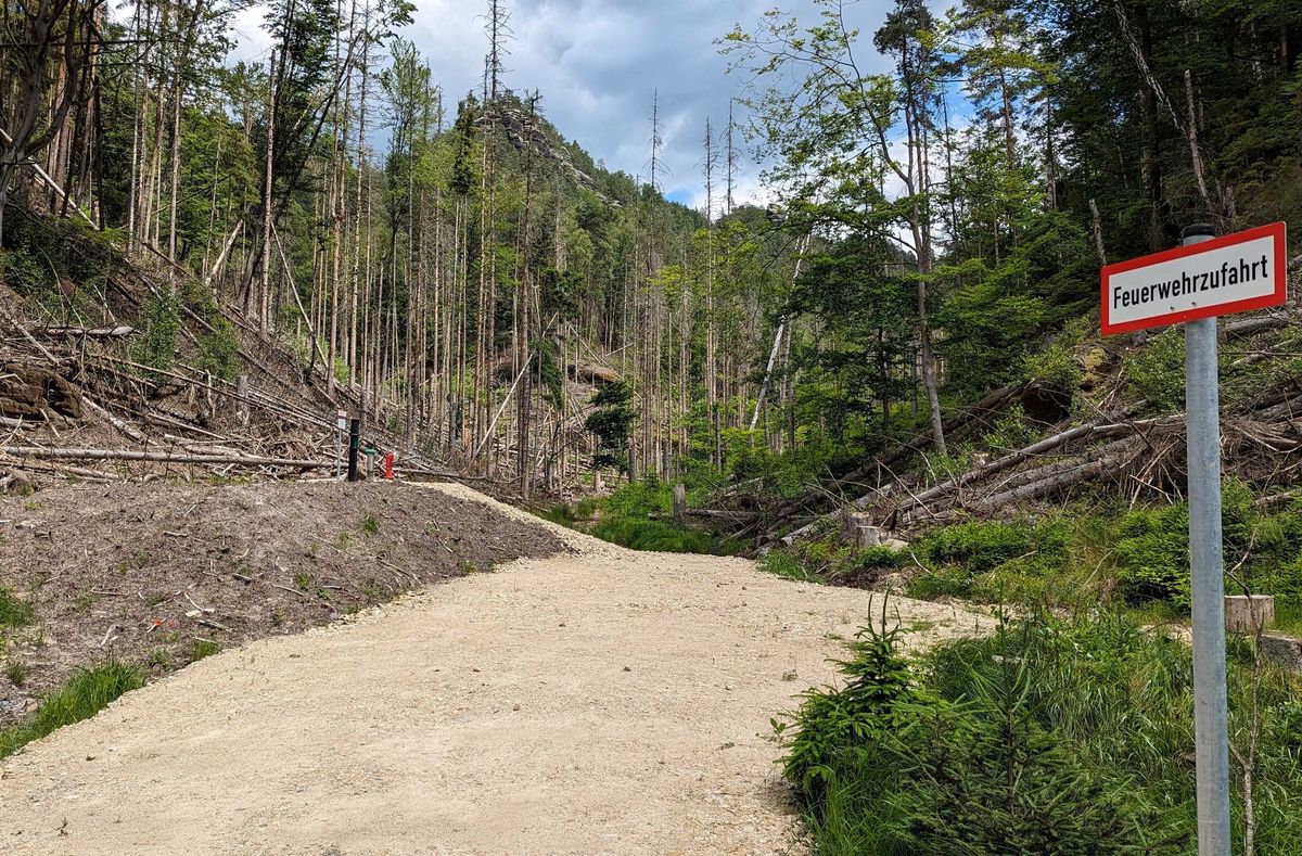 Innovative Sensortechnologie Im Einsatz: Sachsenforst Verbessert Waldbrandschutz In Der Sächsischen Schweiz Innovative Sensortechnologie Im Einsatz: Sachsenforst Verbessert Waldbrandschutz In Der Sächsischen Schweiz